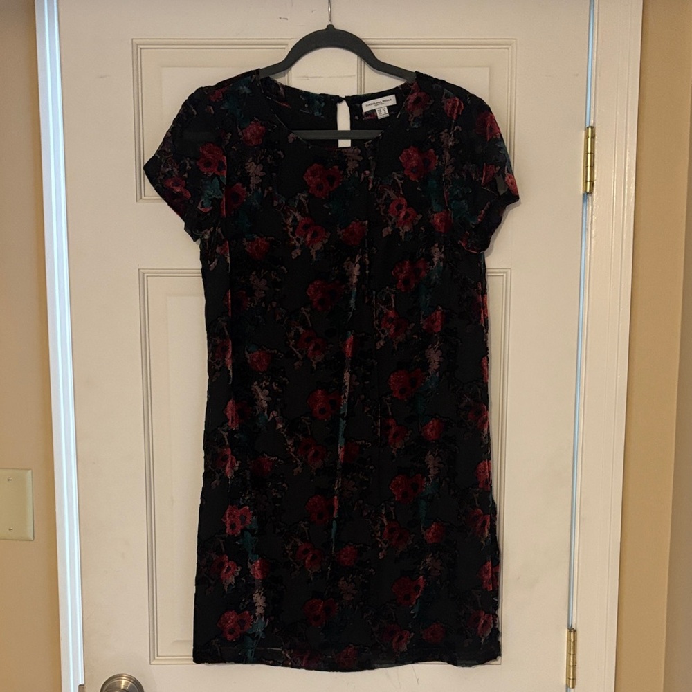 Carolina Belle Black, Red, and Green Floral Mini Dress